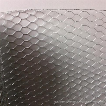 Fil de poulet de haute qualité de 1.7mm / maille hexagonale de 1.0mm